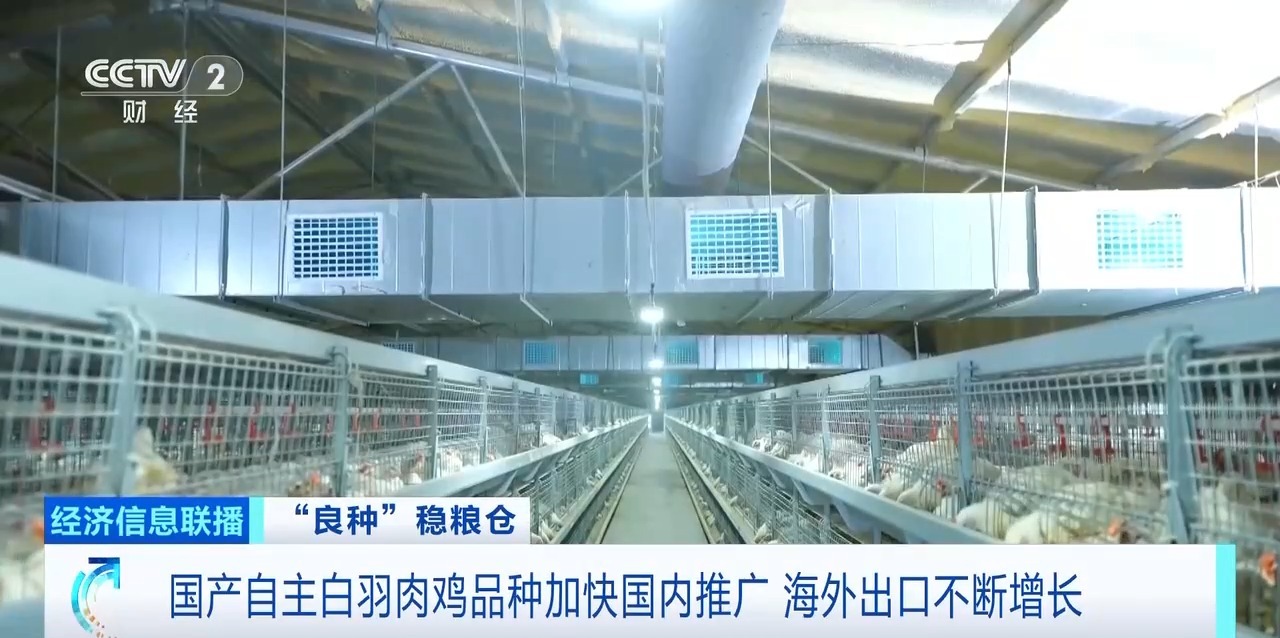 MG游戏官网 - 首页